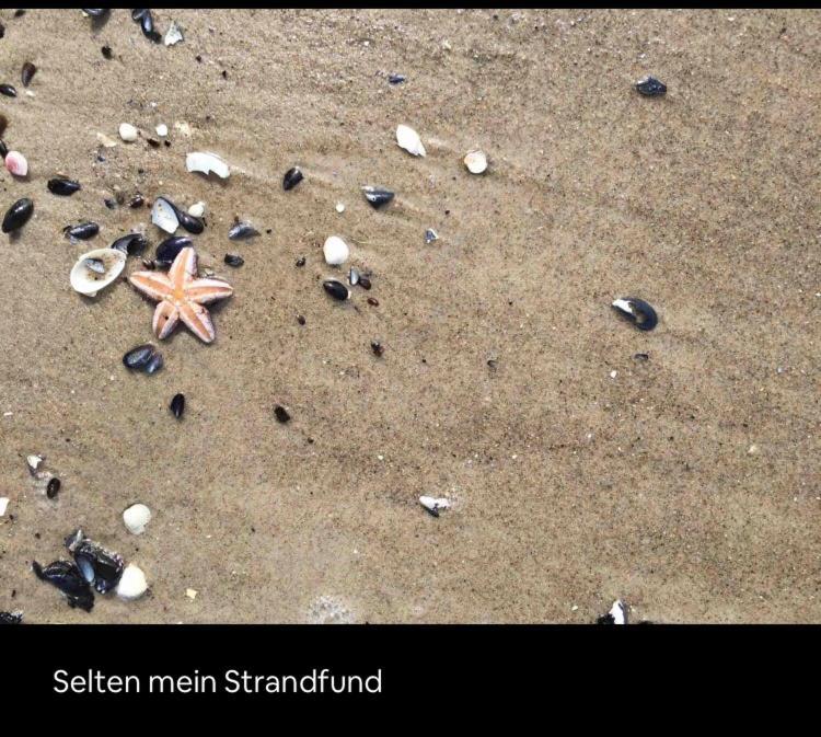 Die Kleine Acht - Direkt Am Strand Дирхаген Екстериор снимка