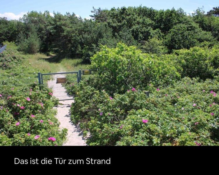 Die Kleine Acht - Direkt Am Strand Дирхаген Екстериор снимка